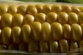 Close up yellow corn Royalty Free Stock Photo