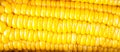 Close-up yellow corn