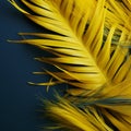 a close up of a yellow feather on a dark blue background