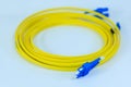Close Up of Yellow Fiber Optic Cable with Blue Connectors Royalty Free Stock Photo