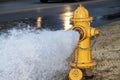 Close-up of yellow fire hydrant gushing water across a street with wet highway and tire from passing car behind Royalty Free Stock Photo