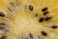 Yellow or gold kiwi fruits closeup. Royalty Free Stock Photo