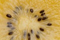 Yellow or gold kiwi fruits closeup. Royalty Free Stock Photo