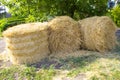 Close-up of yellow golden sheaves or rolls of hay are folded at grass