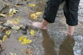 Close-up, yellow leaves falling by the water, and a woman's foot walking barefoot by Giving a feeling of relaxation Royalty Free Stock Photo