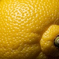 Close up of a yellow lemon surface showcasing its bumpy and textured rind Royalty Free Stock Photo