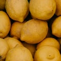 Close up of a yellow lemons