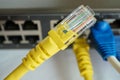 Close up yellow network cable Royalty Free Stock Photo