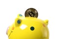 Close up of yellow piggy bank and golden color bitcoin coin in it. Isolated on white background