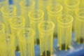 Close up yellow pipette tips Royalty Free Stock Photo