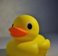 Close up of yellow rubber duck on grey background created using generative ai technology Royalty Free Stock Photo