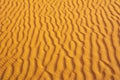 Close-up of yellow sand`s texture for background. Sand dune in Sahara desert