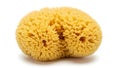 A yellow sponge on a white background (ai generated) Royalty Free Stock Photo