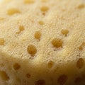 Close-up of a yellow sponge texture with a network of uniform, small, round Royalty Free Stock Photo