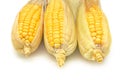 Close up yellow sweet corn Royalty Free Stock Photo