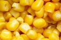 Close up yellow sweet corn Royalty Free Stock Photo