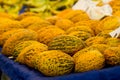 Close up of yellow sweet melons at the farmer`s market
