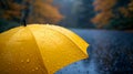 Close up, yellow umbrella under rainfall against a background of autumn leaves. Concept of rainy weather. Royalty Free Stock Photo