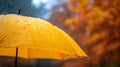 Close up, yellow umbrella under rainfall against a background of autumn leaves. Concept of rainy weather. Royalty Free Stock Photo