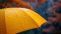Close up, yellow umbrella under rainfall against a background of autumn leaves. Concept of rainy weather. Royalty Free Stock Photo