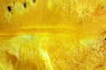 Close-up of yellow watermelon. background. The pulp of a ripe watermelon. watermelon texture. A piece of juicy ripe