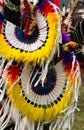 Close Up of Yellow and White Feather Bustle and Headdress on a Fancy Dancer Royalty Free Stock Photo