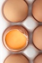 Close-up of the yolk in a broken shell of a chicken egg Royalty Free Stock Photo