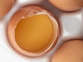 Close-up of the yolk in the shell of a chicken egg Royalty Free Stock Photo