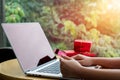 Close up ,Young asian woman typing laptop keyboard and holding credit card at coffee shop with online shopping or internet banking Royalty Free Stock Photo