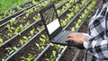 Female agriculturist hand using laptop computer to record growth data of many little green Chinese cabbage in organic farm