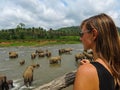 CLOSE UP: Young female traveler observes elephants bathing in a tropical river