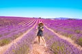 Close up of a young girl in a floral dress with a hat on her head between lavender in southern Provence Valensole France Royalty Free Stock Photo