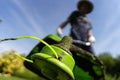 A close up of a young man with a lawnmower caring for the grass in the backyard. Royalty Free Stock Photo