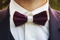 Close-up of a young man wearing a tuxedo with a bow tie. A male suit with a handsome bow tie for formal festive wear. Groom's sui