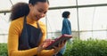 Close up of young multi-ethnic female farmer using digital tablet, greenhouse Royalty Free Stock Photo