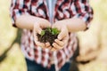 Close up of young plant that being in little hands Royalty Free Stock Photo