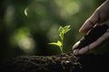 Close-up young plant growing in the soil concept save nature or agriculture on soft green tree background