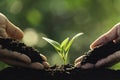 Close-up young plant growing in the soil concept save nature or agriculture on soft green tree background Royalty Free Stock Photo