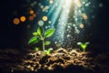 Close up of a young plant sprouting from the ground with green bokeh background, rich soil, ecology concept, Royalty Free Stock Photo
