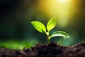 Close up of a young plant sprouting from the ground with green bokeh background, rich soil, ecology concept, Royalty Free Stock Photo