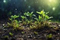 Close up Young plants growing up on ground with raining drops. ai generative Royalty Free Stock Photo