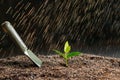 Close up young sprout in fertile soil with raindrop