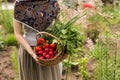 Close-up of a young woman farmer holding a basket of vegetables. Horizontal view. Royalty Free Stock Photo