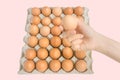 Close-up young woman hand hold a fresh and raw brown chicken egg, egg box as beautiful background. Organic eggs.Natural healthy fo Royalty Free Stock Photo