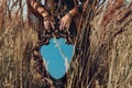 Close up of young woman hands holding mirror outdoors Royalty Free Stock Photo