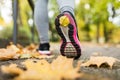 Close up of young woman running in autumn park Royalty Free Stock Photo