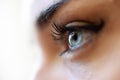 Close-up of young woman's blue eyes with long eyelashes Royalty Free Stock Photo