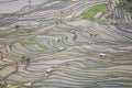 Close up on Yuanyang rice terraces in Laohuzui spot In Yunnan