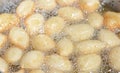 Zalabia a type of fried dough similar to that of a doughnut frying in boiling hot oil in a deep fryer at home