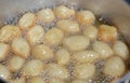 Zalabia a type of fried dough similar to that of a doughnut frying in boiling hot oil in a deep fryer at home